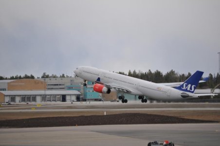 DSC_0029.jpg