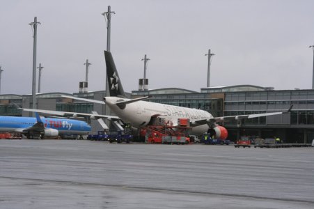 IMG_4978.JPG