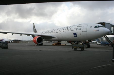IMG_4988.JPG