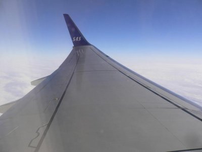P1020442.jpg