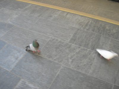 DSCN8947.JPG