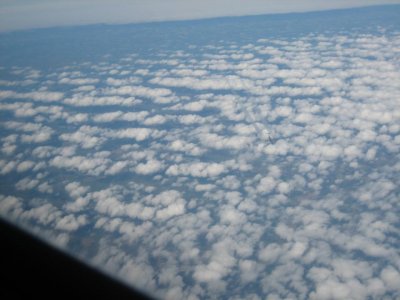 IMG_1517.jpg