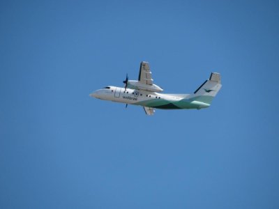IMG_5866.jpg
