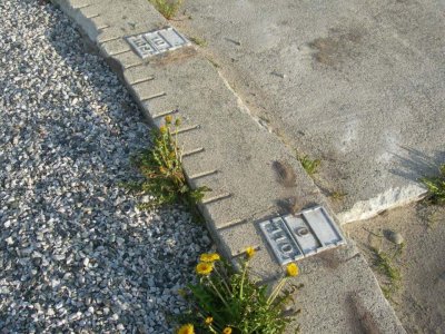 DSCN9201.jpg