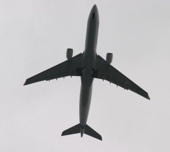 IMG_4021.jpg
