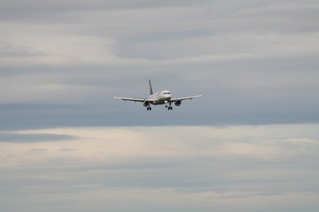 IMG_2392.JPG