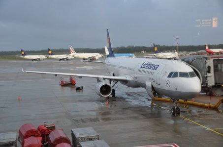 DSC_0029.JPG
