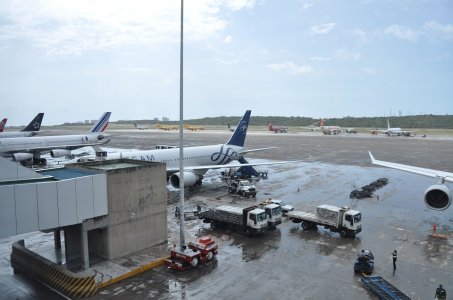 DSC_0105.JPG