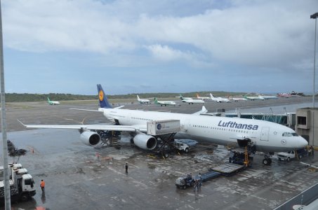 DSC_0107.JPG