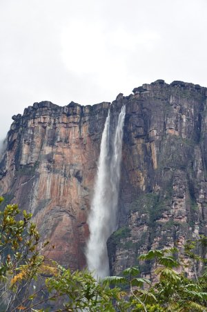 DSC_0413.JPG