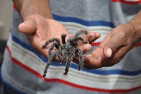 DSC_0902.JPG