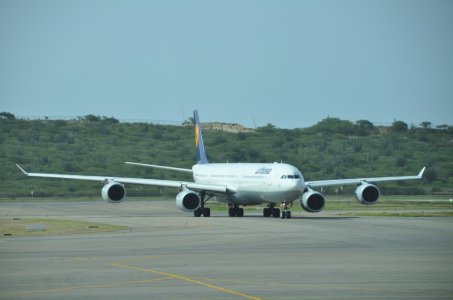 DSC_0710.JPG