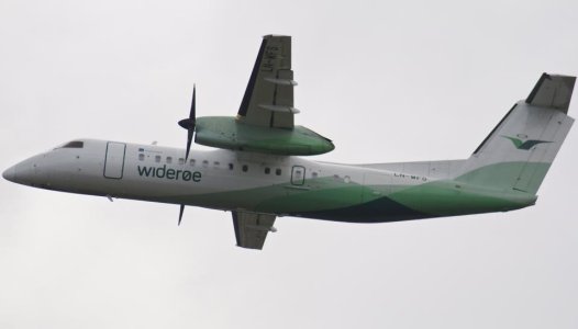 DSC_0032.jpg