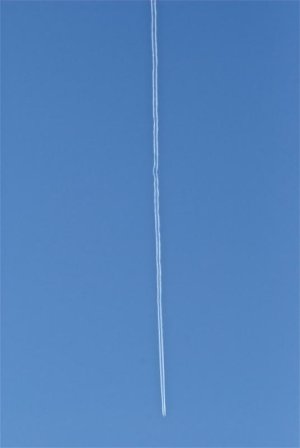 DSC_0041.jpg