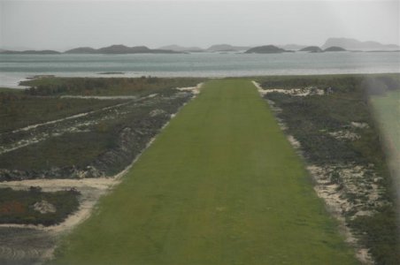 4 (Medium).JPG