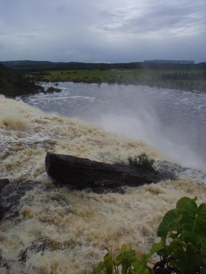 RIMG0558.jpg