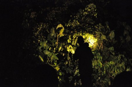 DSC_0125.JPG