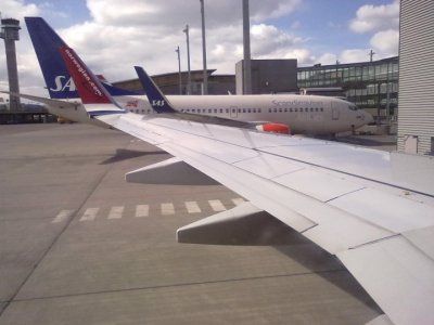 Norwegian 6.jpg