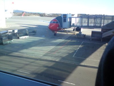 Norwegian 1.jpg