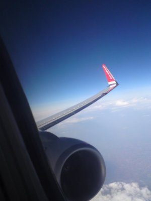 Norwegian 2.jpg