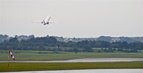 DSC_0010.jpg