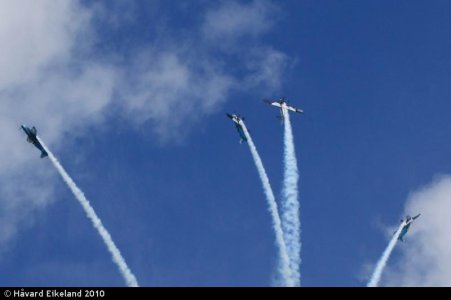 IMG_3537.jpg