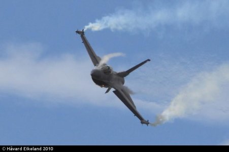 IMG_3654.jpg