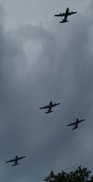 DSC07166.jpg