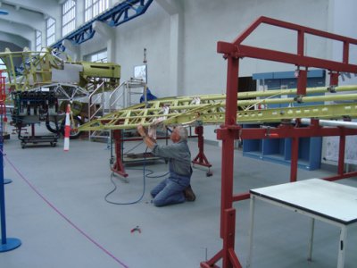 DessauF13-wing.jpg