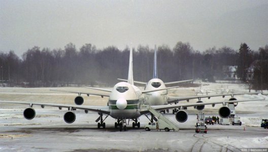 img882_1200.jpg