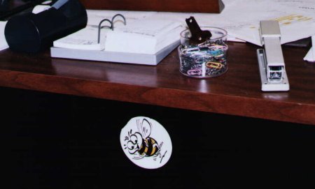 BEE.jpg