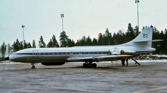 81  85172.jpg