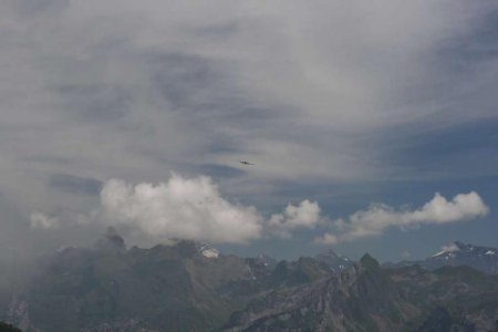 IMG_2033.jpg