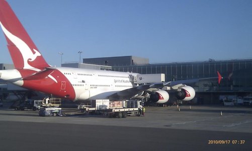 IMAG1087.jpg