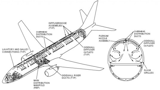 raiser29xw.jpg