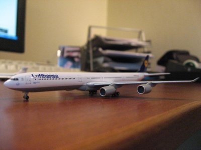 IMG_5312.jpg