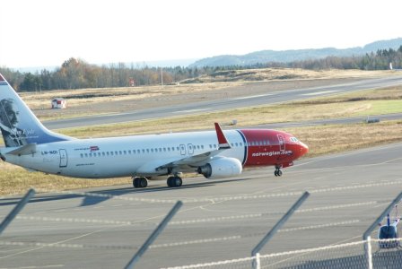 FLY1.jpg