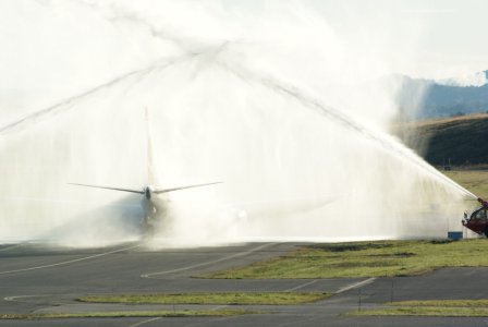 FLY4.jpg
