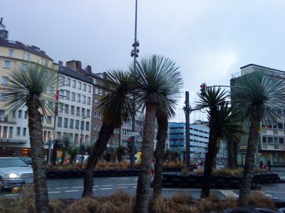 Bilde 001.jpg