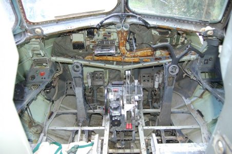 DSC_0135.jpg