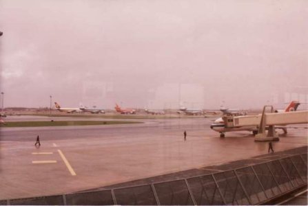 AMS 1984..jpg