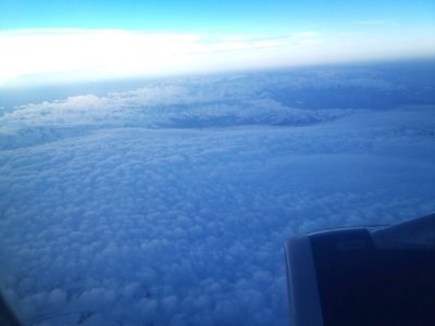 DSC_0243.jpg