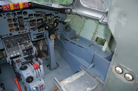 DSC_0011.jpg