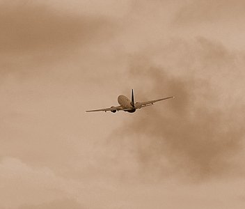 DSC_0091.JPG