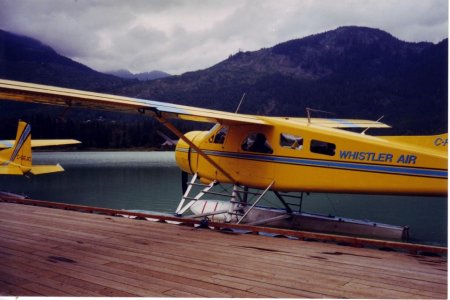 whistler1.jpg