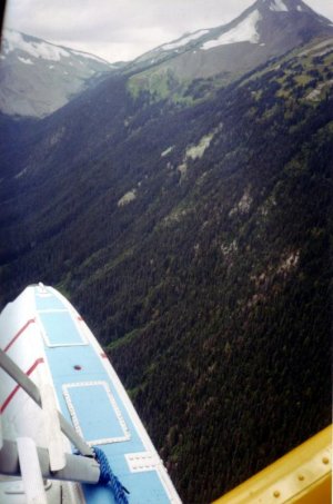 whistler10007.jpg