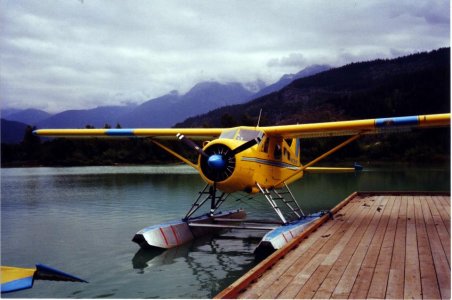 whistler10008.jpg