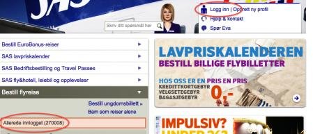 SAS-login.jpg
