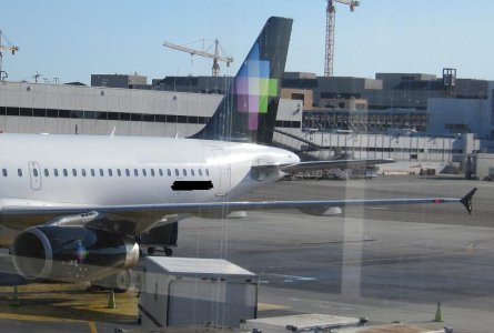 fly2.JPG