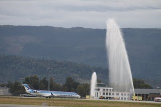 IMG_0384.jpg